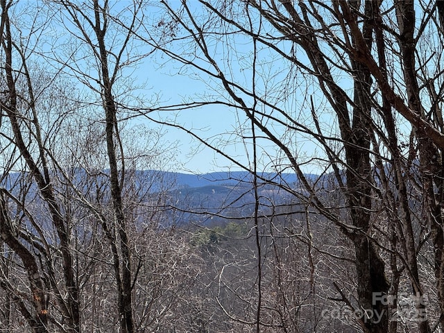 TBD Doublehead Mountain Rd, Newland, NC 28657
