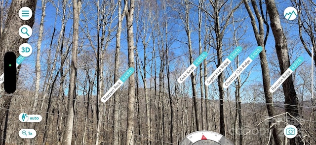 TBD Doublehead Mountain Rd, Newland, NC 28657