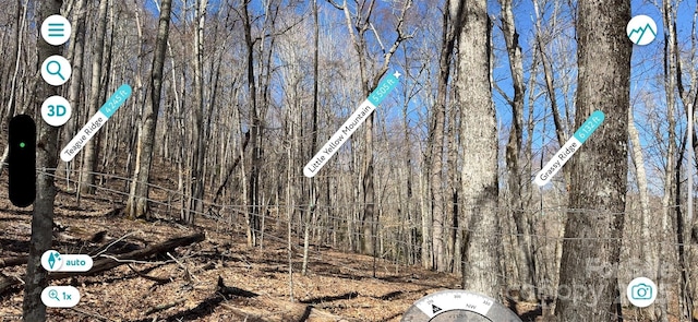 TBD Doublehead Mountain Rd, Newland, NC 28657
