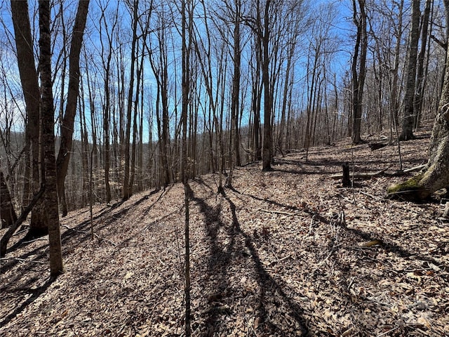 TBD Doublehead Mountain Rd, Newland, NC 28657