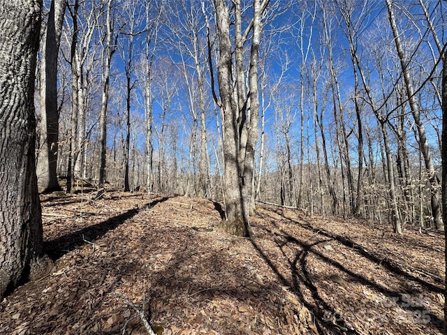 TBD Doublehead Mountain Rd, Newland, NC 28657