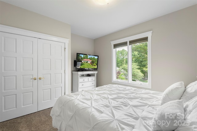 bedroom featuring carpet and a closet