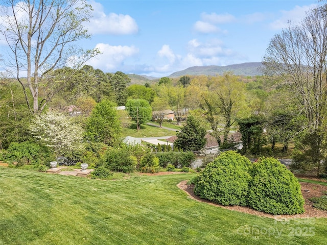 60 Club Knoll Ave, Waynesville, NC 28786 - photo 7