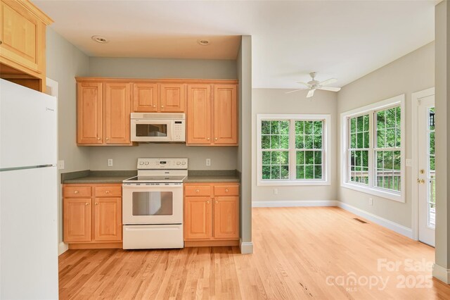 191 Berea Church Rd, Hendersonville, NC 28739 - photo 14