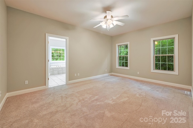 191 Berea Church Rd, Hendersonville, NC 28739 - photo 19