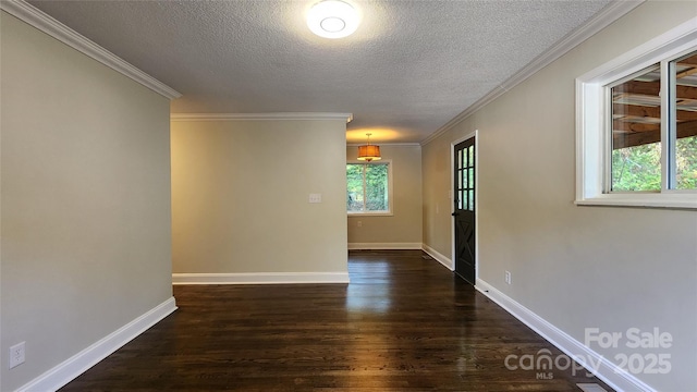 199 Druid Dr, Asheville, NC 28806 - photo 9