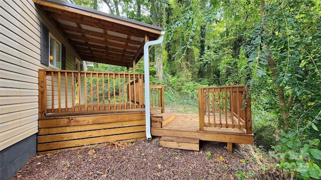 199 Druid Dr, Asheville, NC 28806 - photo 32