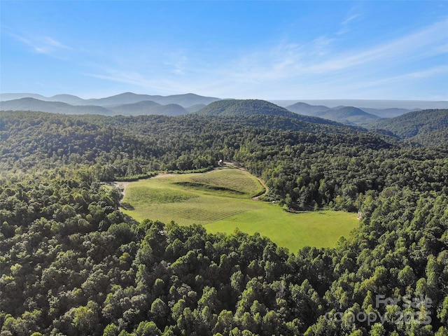 781 Payne Dr, Zirconia, NC 28790 - photo 1