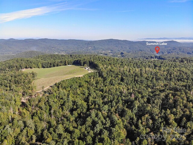 781 Payne Dr, Zirconia, NC 28790 - photo 4