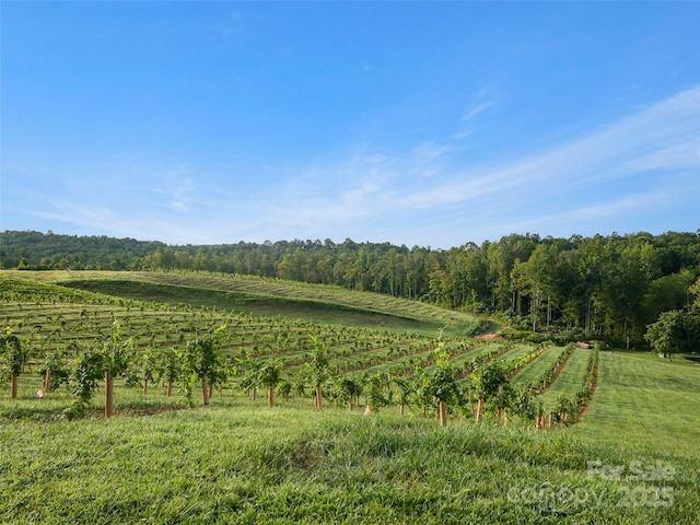 781 Payne Dr, Zirconia, NC 28790 - photo 5