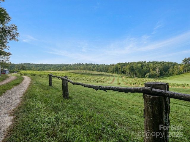 781 Payne Dr, Zirconia, NC 28790 - photo 6