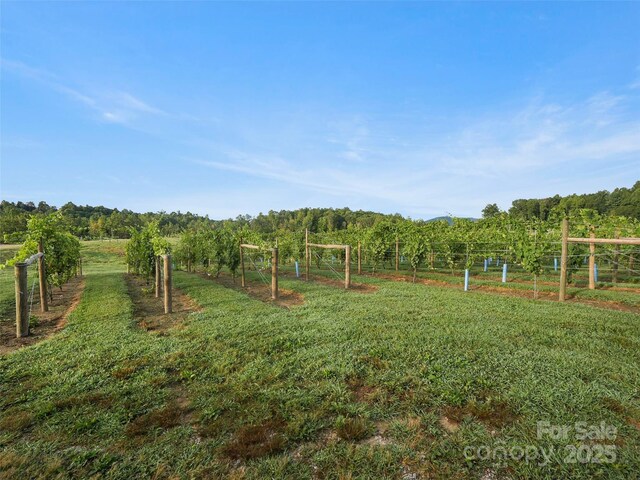 781 Payne Dr, Zirconia, NC 28790 - photo 8