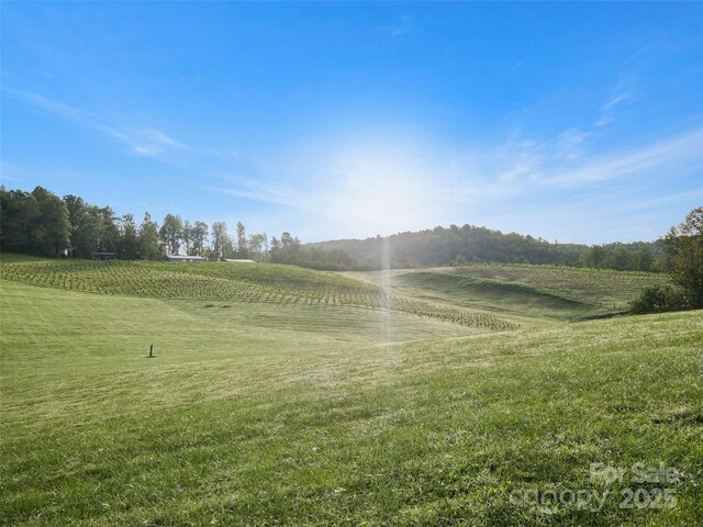 781 Payne Dr, Zirconia, NC 28790 - photo 10