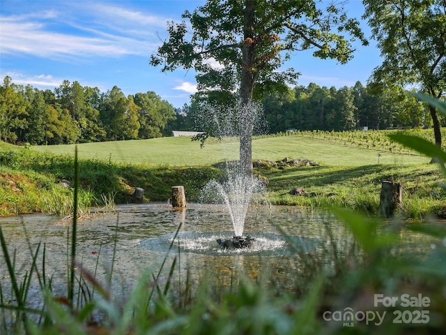 781 Payne Dr, Zirconia, NC 28790 - photo 15