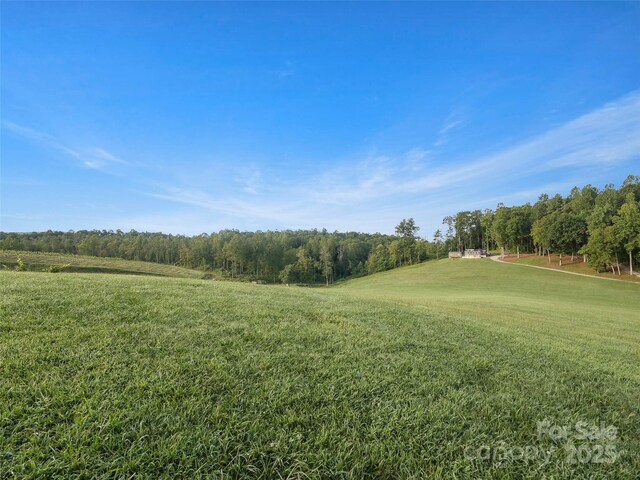 781 Payne Dr, Zirconia, NC 28790 - photo 17