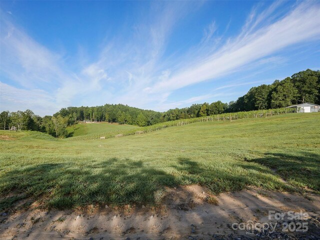 781 Payne Dr, Zirconia, NC 28790 - photo 19