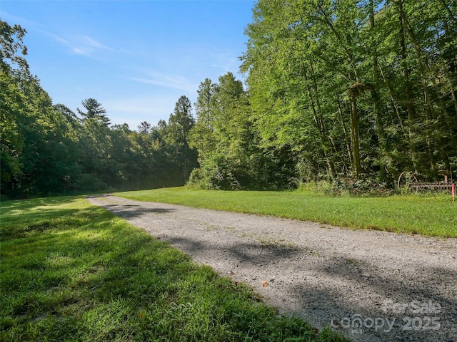 781 Payne Dr, Zirconia, NC 28790 - photo 22