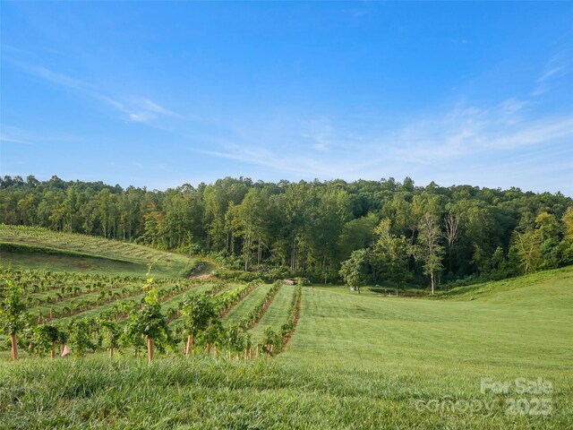 781 Payne Dr, Zirconia, NC 28790 - photo 24