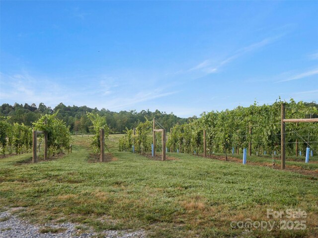 781 Payne Dr, Zirconia, NC 28790 - photo 25