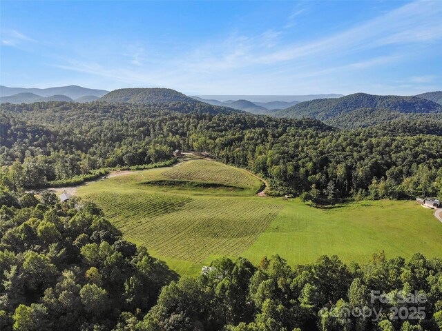 781 Payne Dr, Zirconia, NC 28790 - photo 26