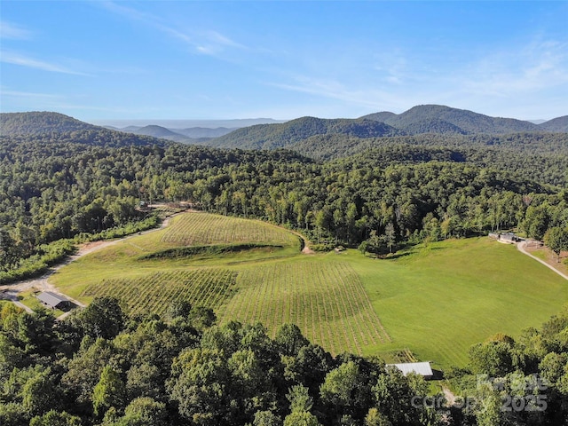 781 Payne Dr, Zirconia, NC 28790 - photo 27