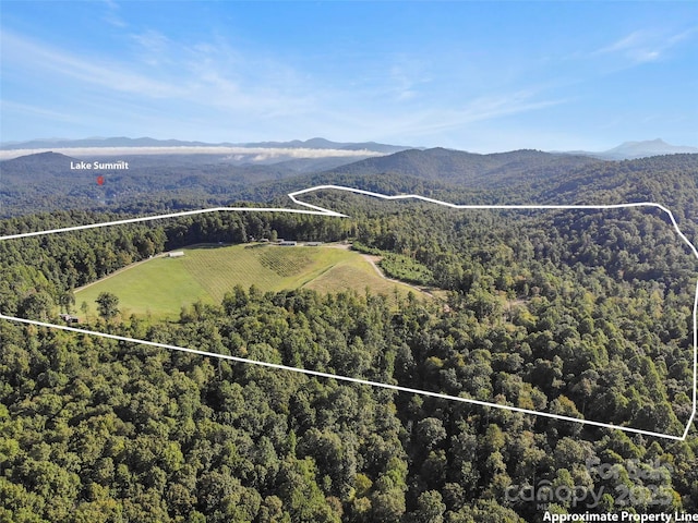 781 Payne Dr, Zirconia, NC 28790 - photo 28