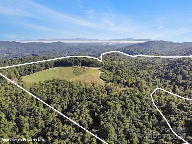 781 Payne Dr, Zirconia, NC 28790 - photo 29