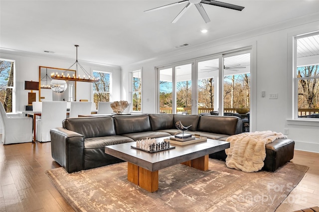 living area with ceiling fan with notable chandelier, hardwood / wood-style floors, recessed lighting, visible vents, and ornamental molding