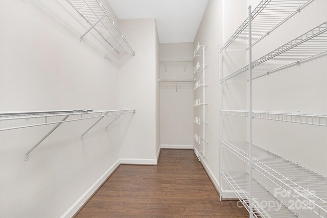 spacious closet with wood finished floors