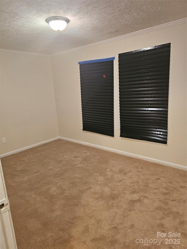 112 Thunder Rd, China Grove, NC 28023 - spare room with baseboards, carpet, a textured ceiling, and ornamental molding