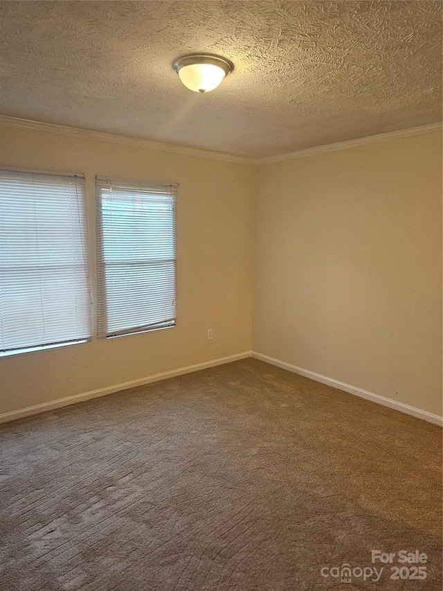 112 Thunder Rd, China Grove, NC 28023 - empty room featuring carpet, baseboards, a textured ceiling, and crown molding
