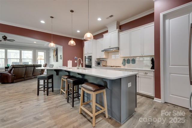 4211 Maggie Springs Way, Clover, SC 29710 - photo 9
