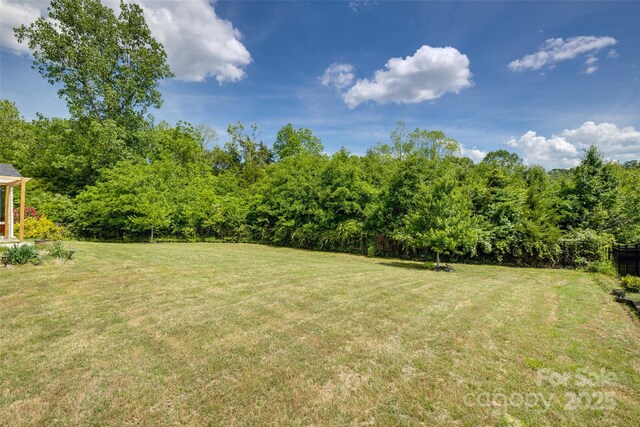 4211 Maggie Springs Way, Clover, SC 29710 - photo 38