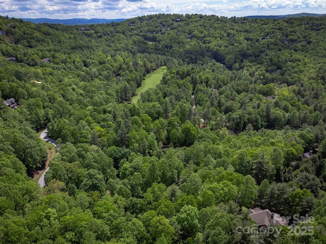 168 Chattooga Run, Hendersonville, NC 28739 - drone / aerial view of a forest
