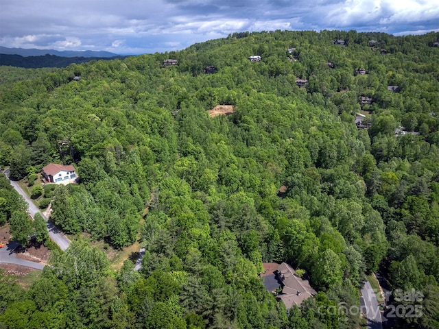 168 Chattooga Run, Hendersonville, NC 28739 - aerial view of property and surrounding area with a heavily wooded area