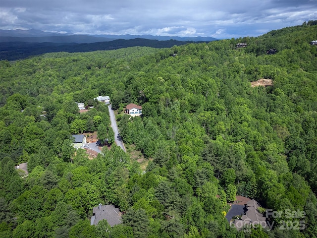 168 Chattooga Run, Hendersonville, NC 28739 - bird's eye view of a forest and a mountainous background
