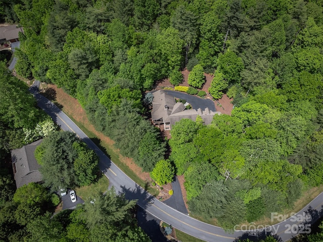 168 Chattooga Run, Hendersonville, NC 28739 - aerial view of property and surrounding area with a forest