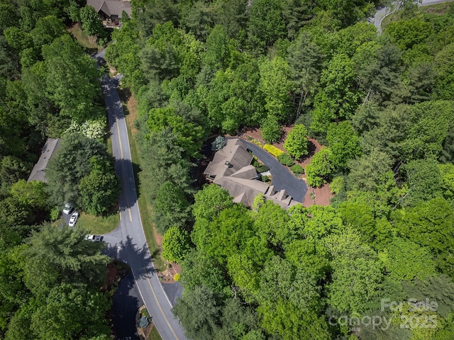 168 Chattooga Run, Hendersonville, NC 28739 - aerial view of property's location with a forest