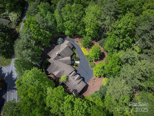 168 Chattooga Run, Hendersonville, NC 28739 - bird's eye view
