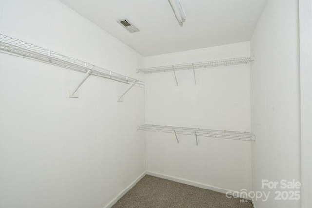 walk in closet with carpet floors and visible vents