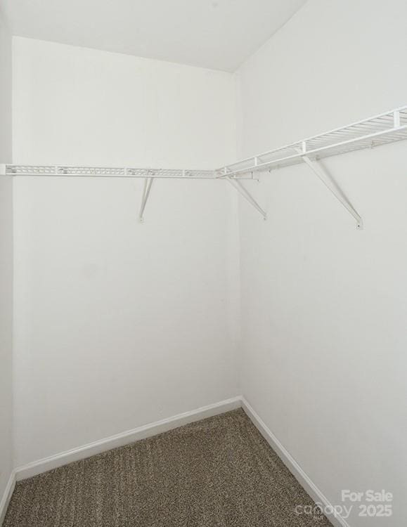 spacious closet with carpet