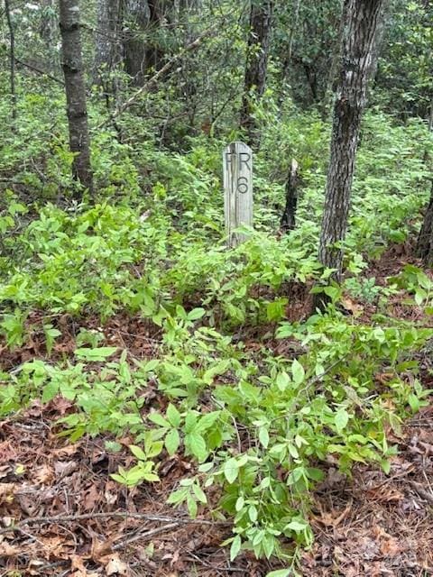 FR16 Opossum Path Unit Fr 16, Brevard, NC 28712 - photo 1
