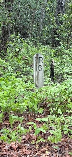 FR16 Opossum Path Unit Fr 16, Brevard, NC 28712 - photo 2