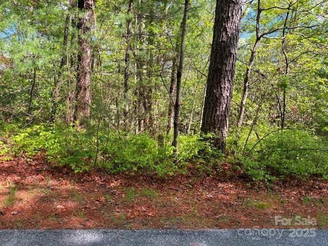FR16 Opossum Path Unit Fr 16, Brevard, NC 28712 - photo 6