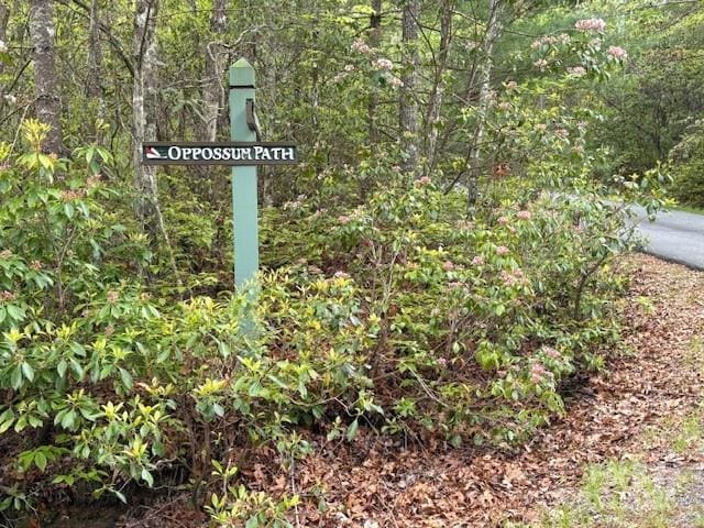 FR16 Opossum Path Unit Fr 16, Brevard, NC 28712 - photo 12