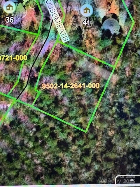 FR16 Opossum Path Unit Fr 16, Brevard, NC 28712 - photo 14
