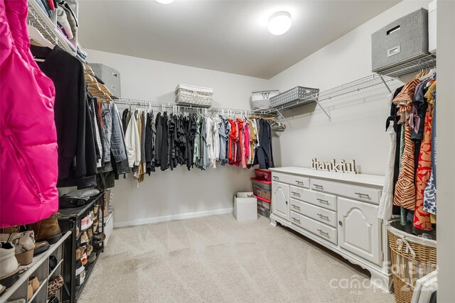 spacious closet with light carpet