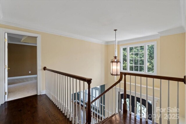 hall with wood finished floors, crown molding, baseboards, and an upstairs landing