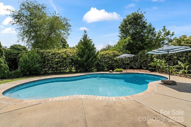 swimming pool featuring a patio area