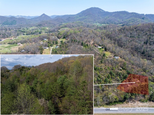 LOT38 Sunnybrook Trl, Clyde, NC 28721